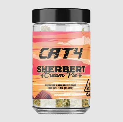 CATALYST: Cat4 - Sherbert Cream Pie