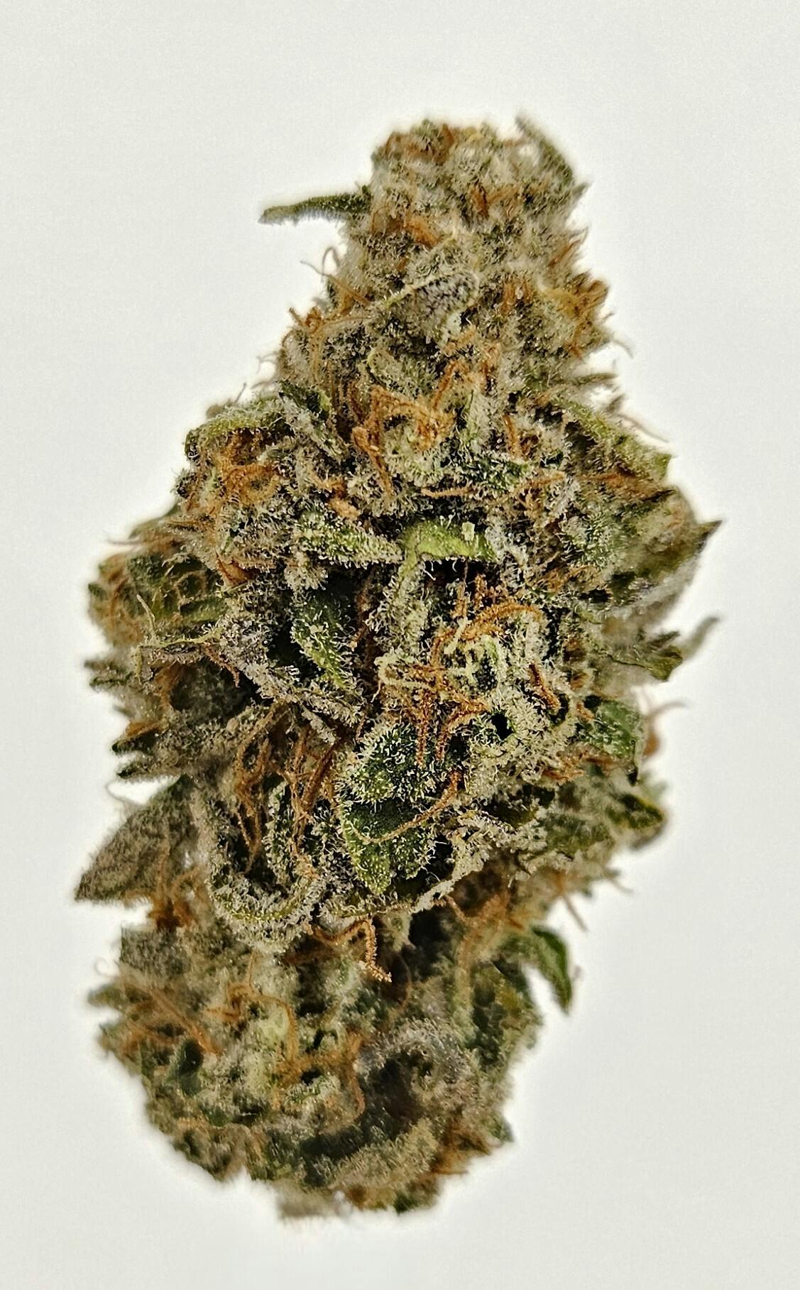 Flower - Private Reserve - EterniThai by Ripple Wellness