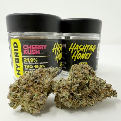 Cherry Kush Big Buds