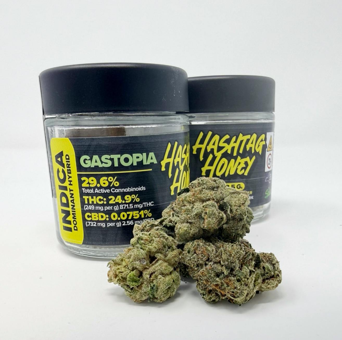Hashtag Honey | Gastopia | Big Buds | 3.5g by Hashtag Honey