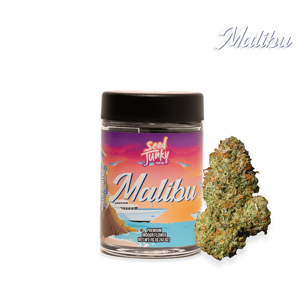 SEED JUNKY: Malibu OG