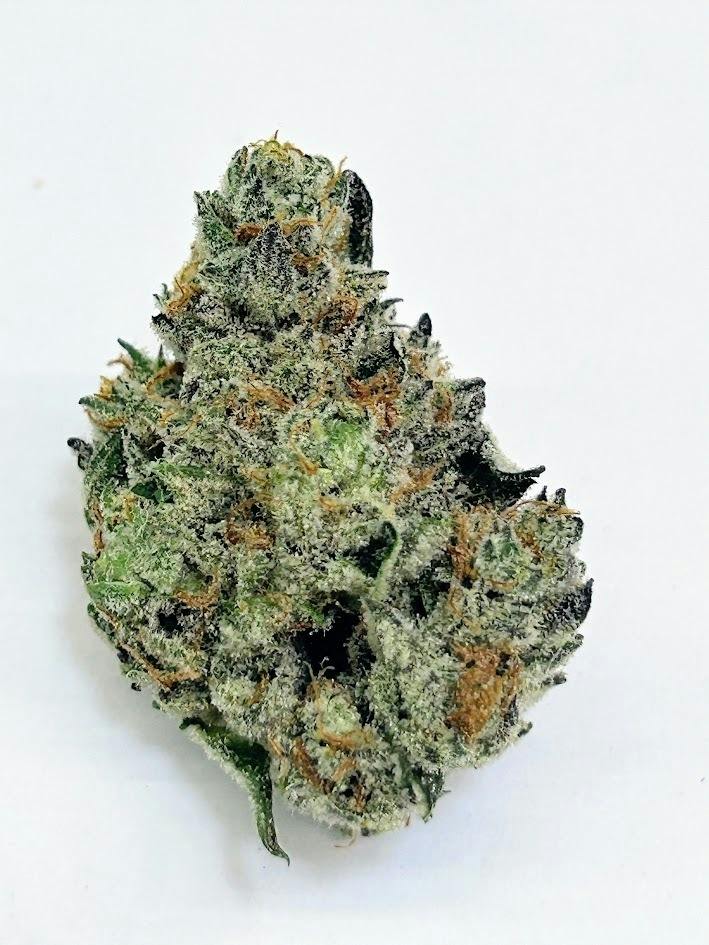 Hawaiian Lion | 3.5g