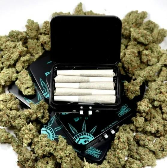 Hawaiian Lion | Minis | 0.4g | 5pk