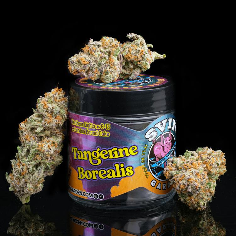 Tangerine Borealis | 0.125oz
