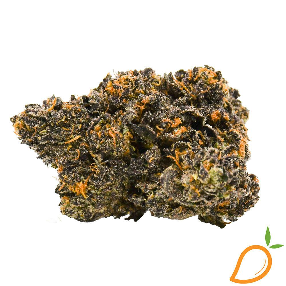 Kush Mints x Sherbhead | 1g