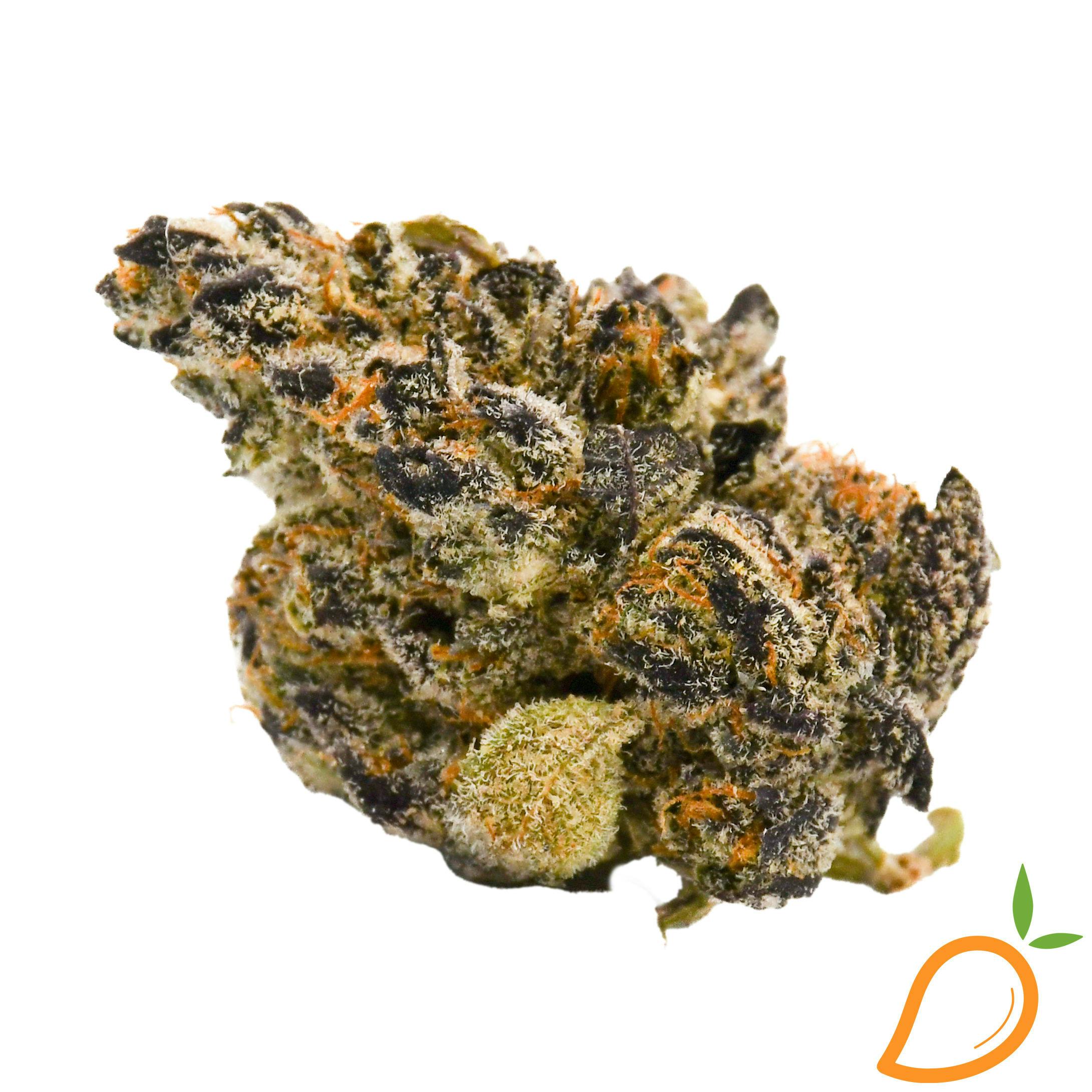 Fresh Coast Cake | 1g