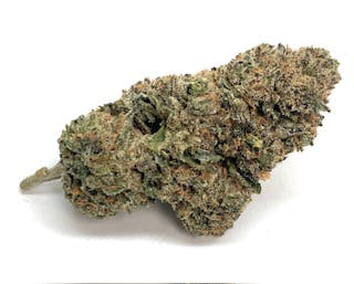 Oreoz Big Buds