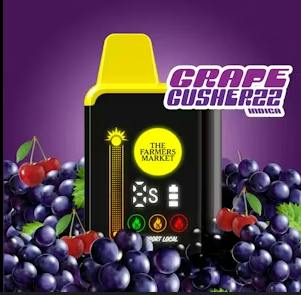 Grape Gusherzz | Disposable | 1g