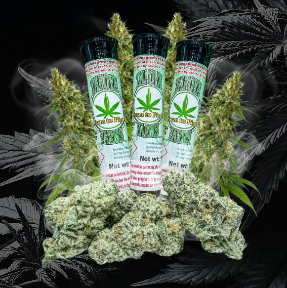 Fresh Coast Kush | Ground | 1g at Cannaverse