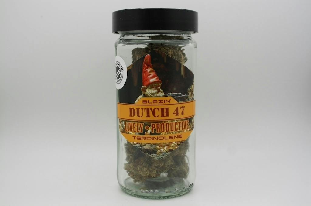 Dutch 47 | Big Buds | 3.5g