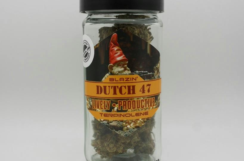 Dutch-47 | Big Buds | 28g