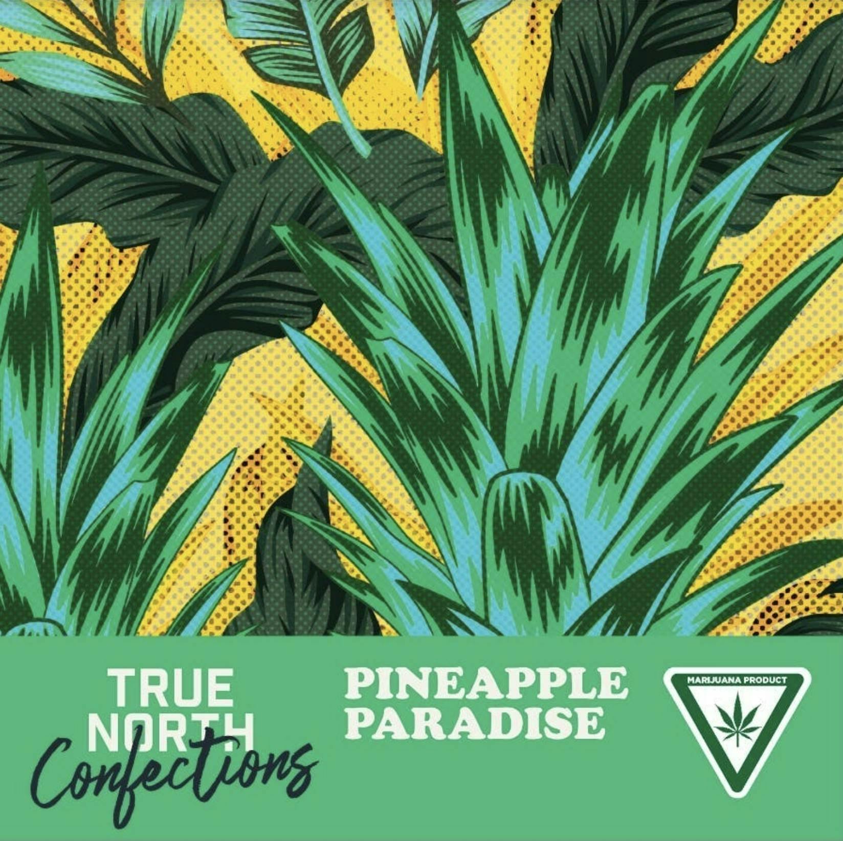 True North Collective | Pineapple Paradise Gummies | 100mg | 2ct | 50mg/ea by True North Collective MI