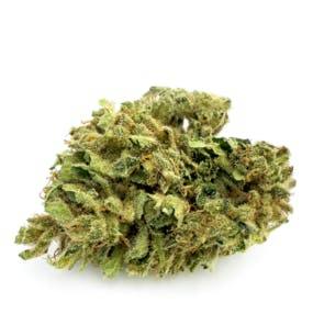Harle Tsu | Big Buds | 14g by Most Wanted