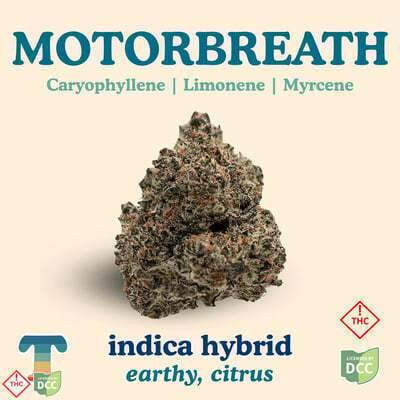 Motorbreath | Big Buds | 2.83g at Culture of Akron