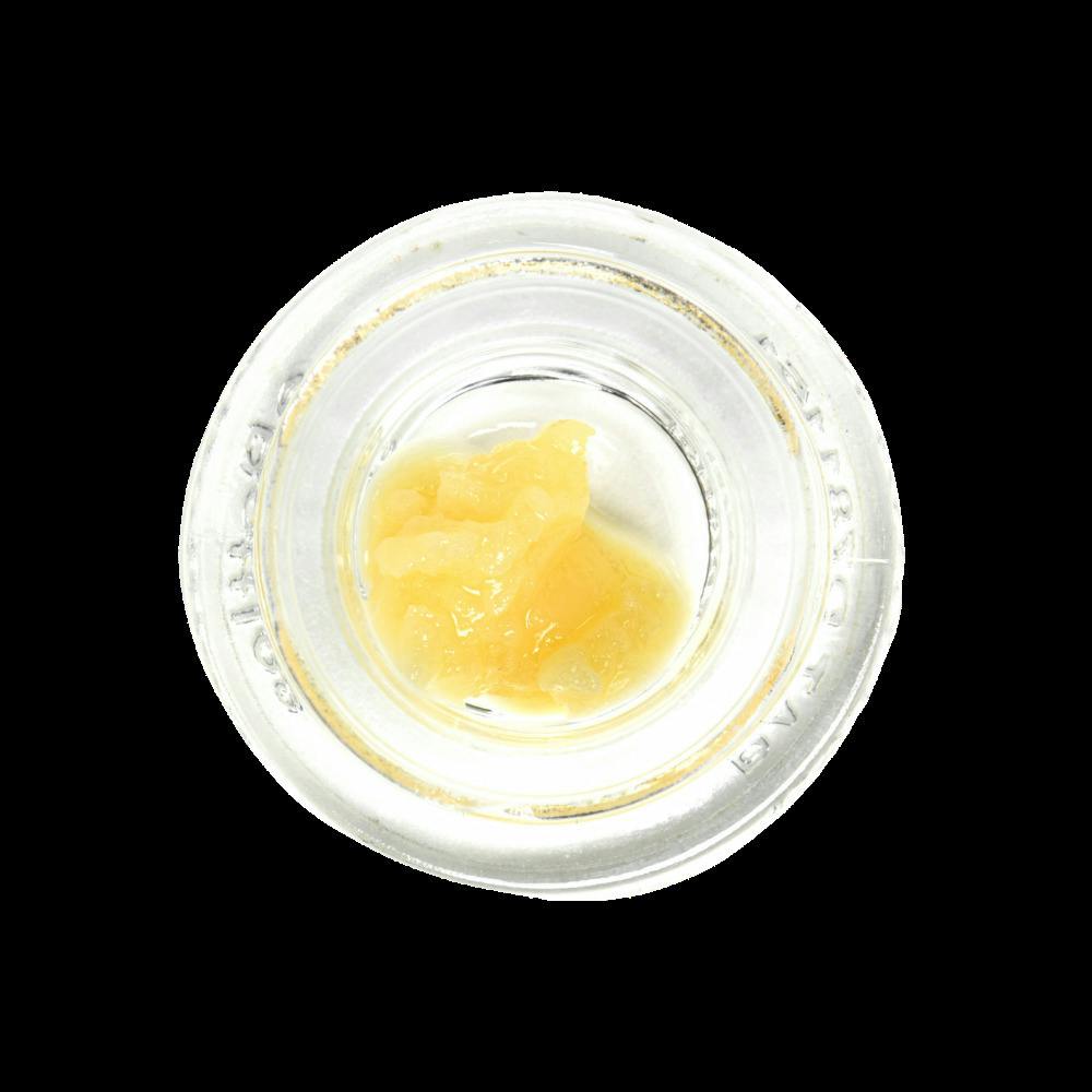 The Glove | Solvent | Badder | 2g