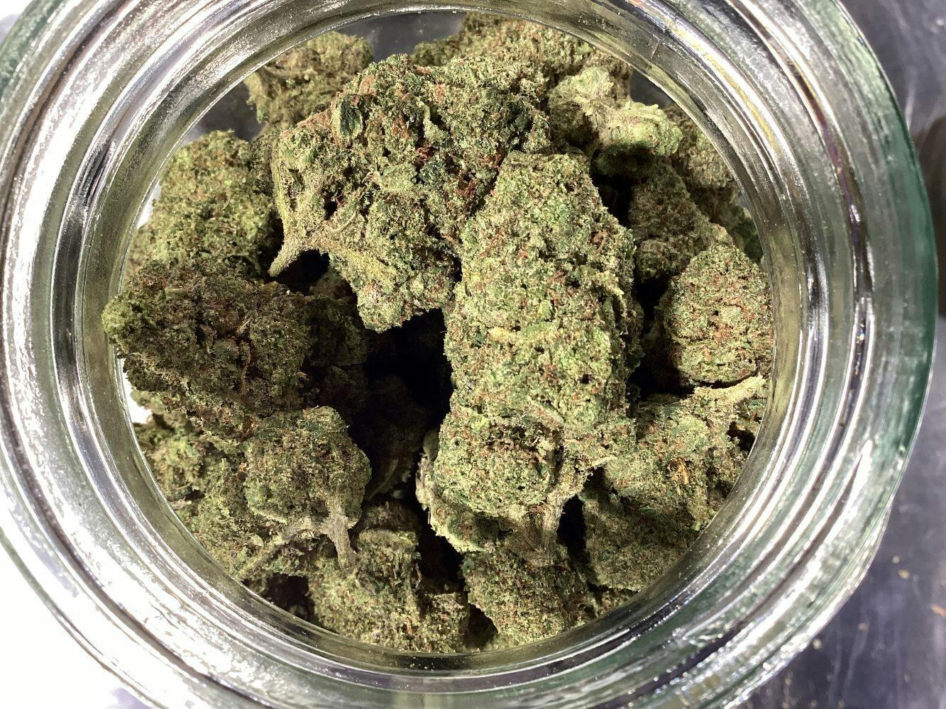 Key Lime Jack | 1g