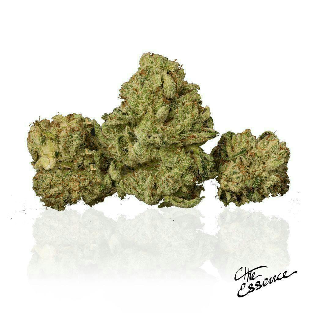 (the) Essence | GG #4 | Big Buds | 14g by (the) Essence
