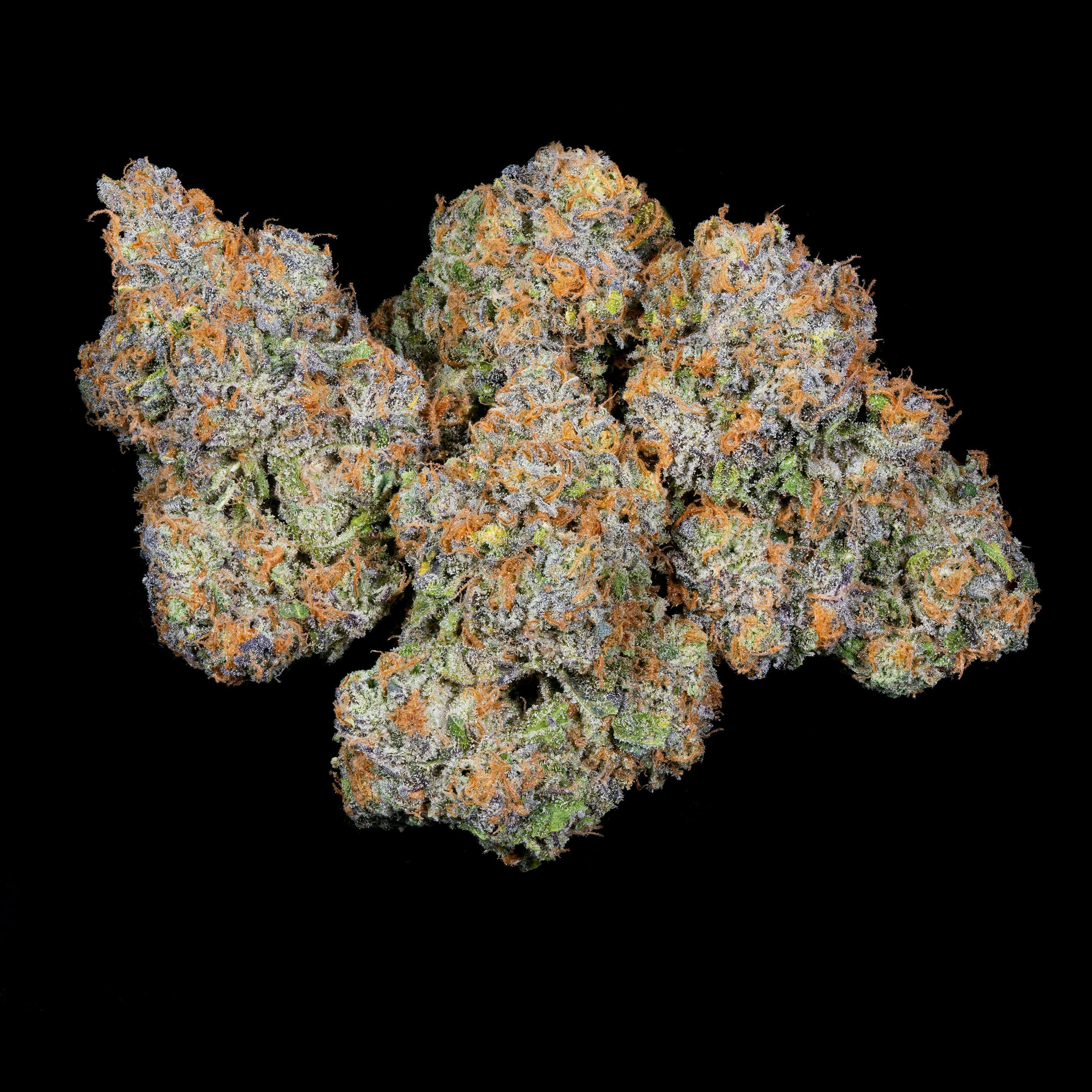 Connected Cannabis Co — Gascotti