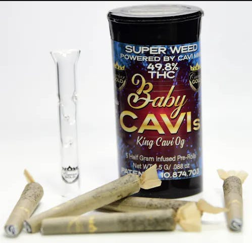 Caviar Gold — Lost Louie