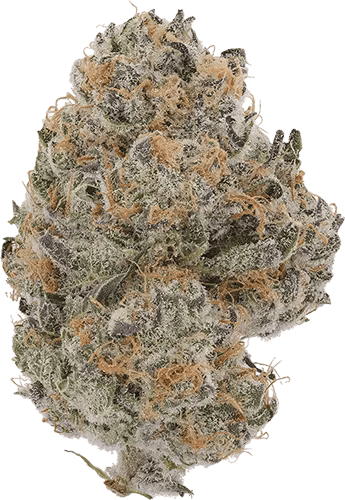 (the) Essence | Pancake Stomper | Big Buds | 3.5g by (the) Essence
