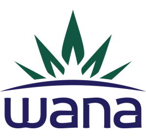 Blue Slushy | Quick Gummies | 10pk | 10mg/ea by Wana Edibles