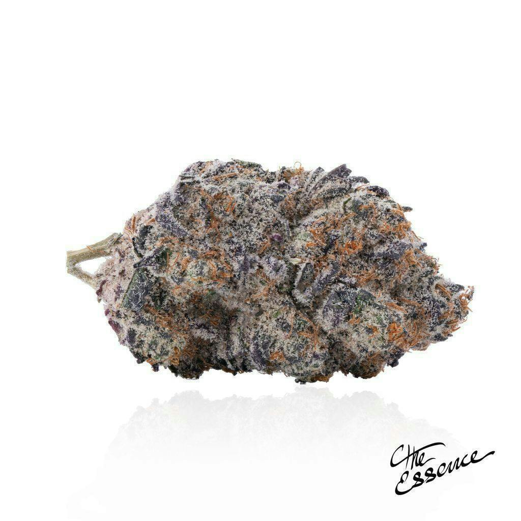 (the) Essence | Tropical Teeth #2 | Big Buds | 14g by (the) Essence