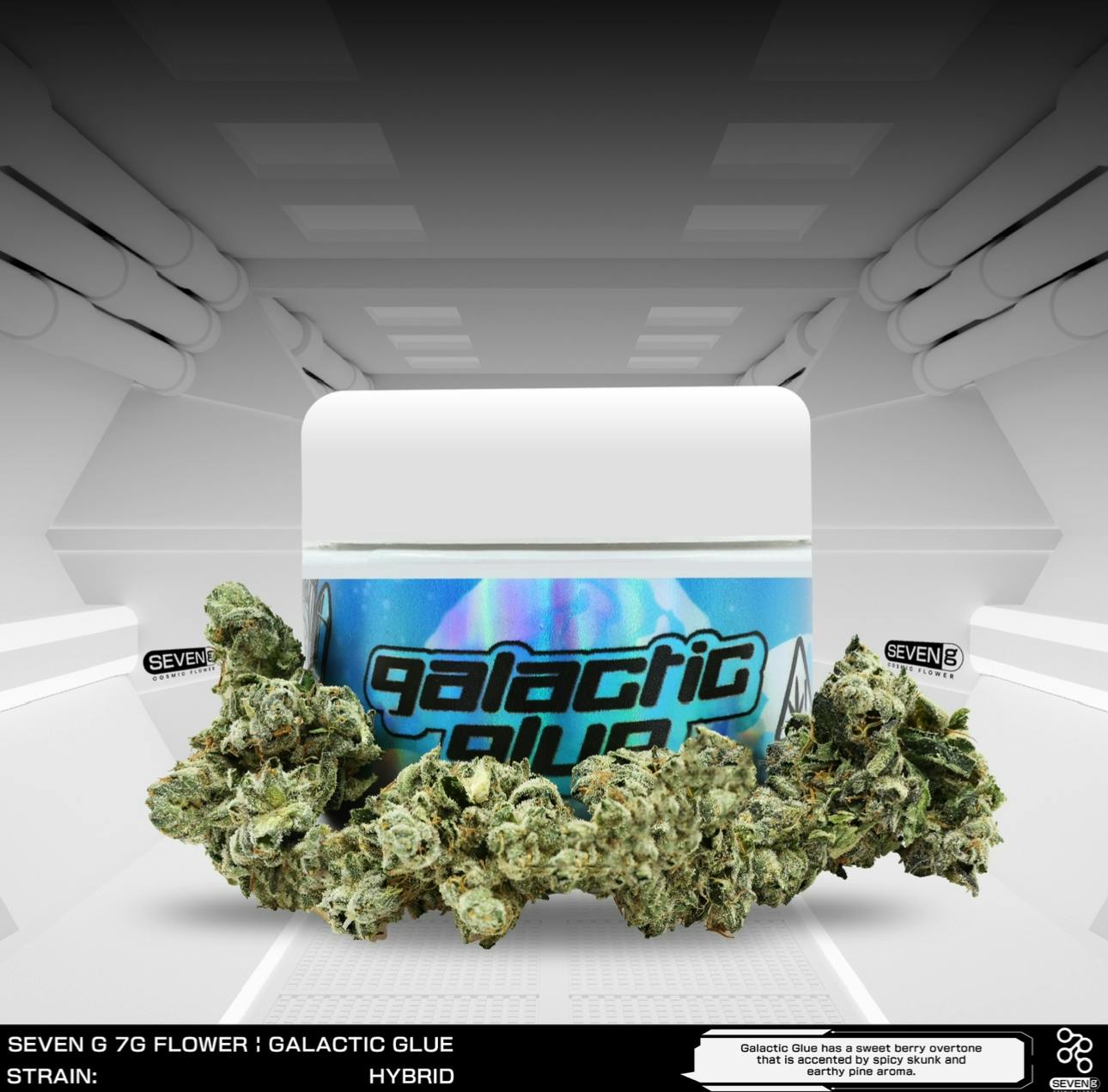 Seven G — Galactic Glue