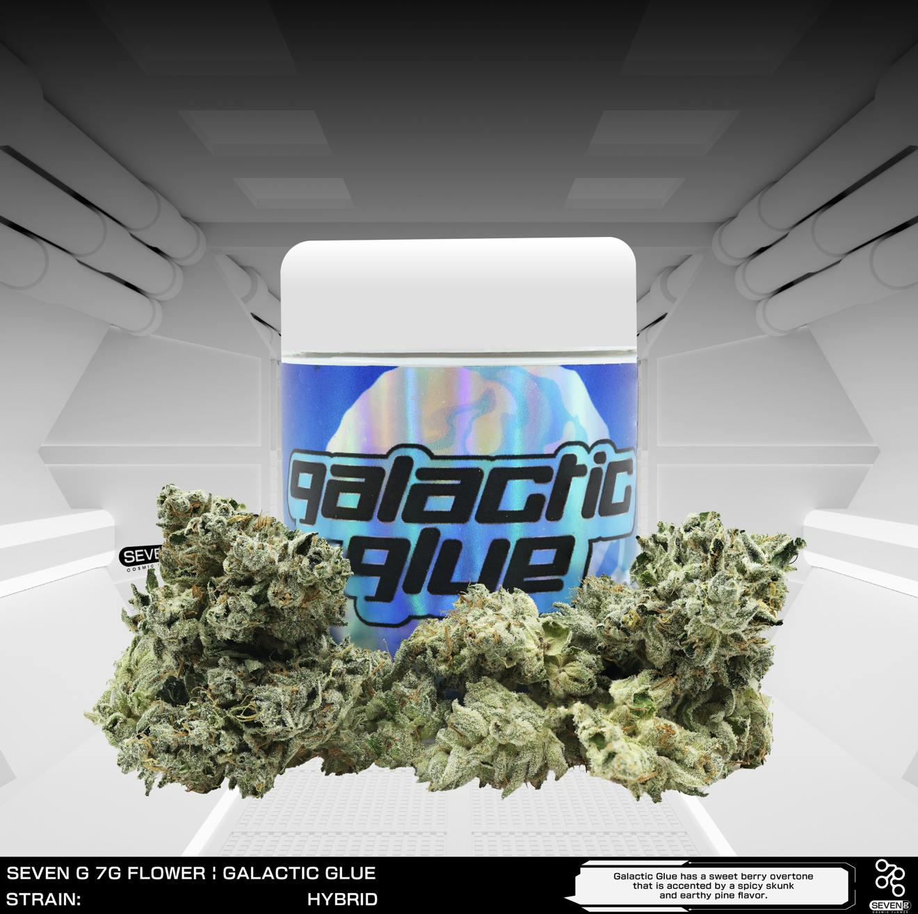 Seven G — Galactic Glue