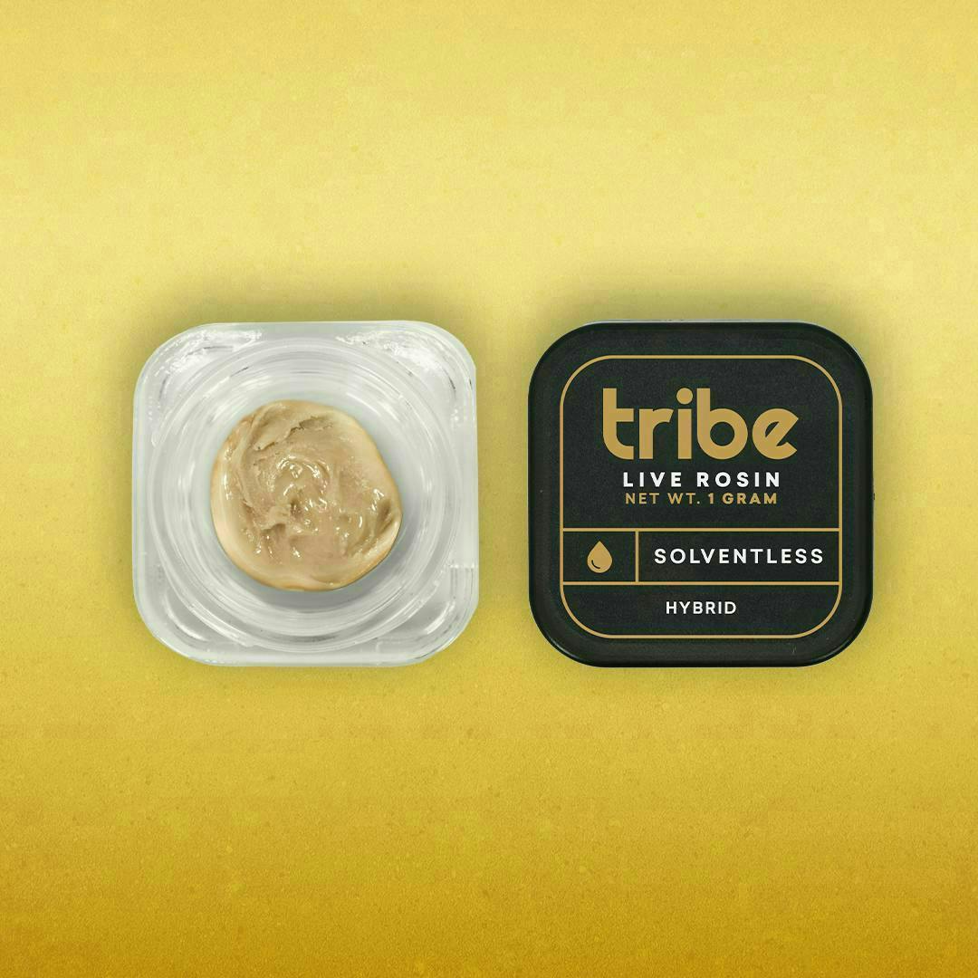 Tribe | Gorilla Shack | Live Rosin | 1g