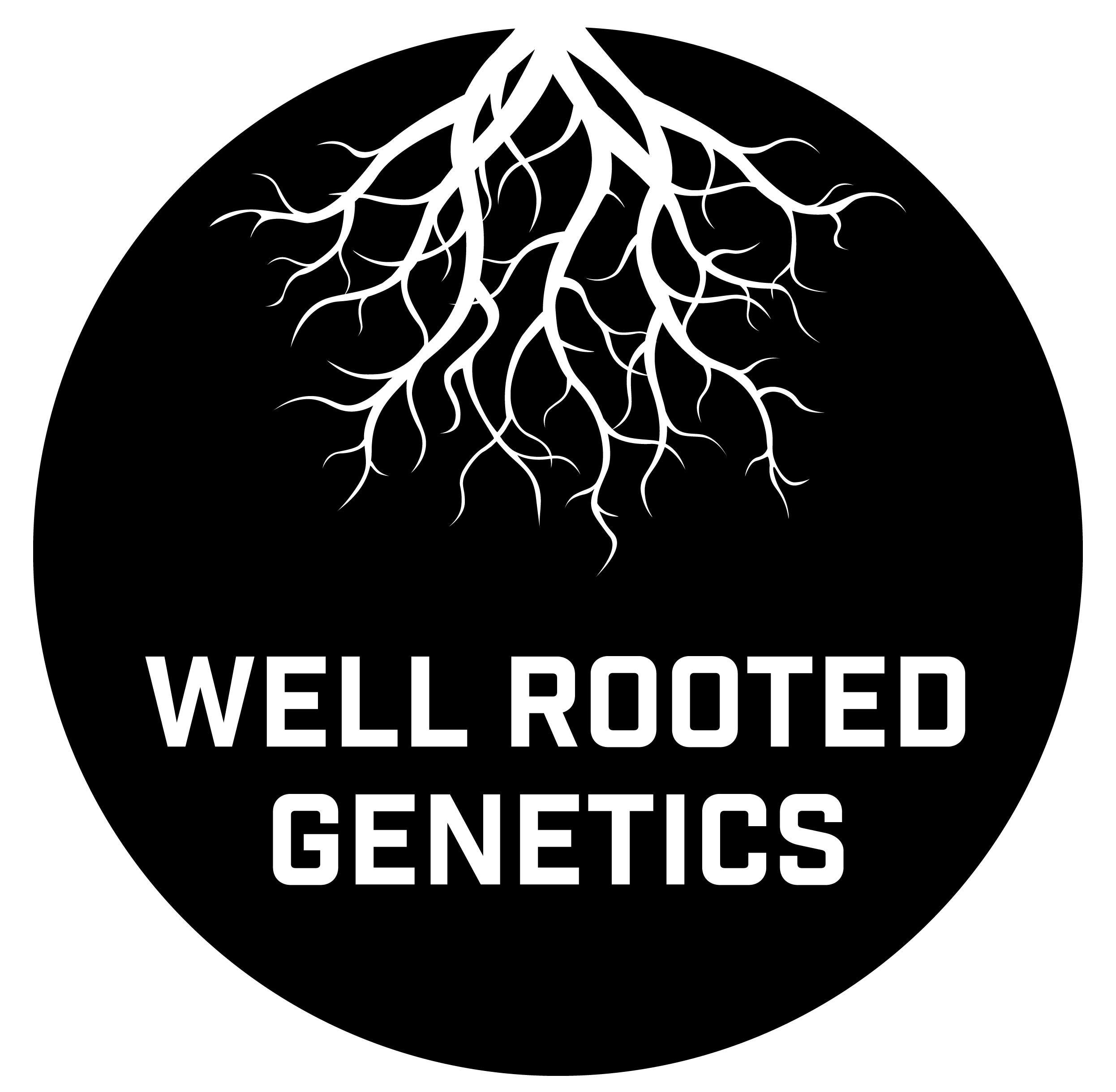 Well Rooted | The Bridge | Rosin | 1g