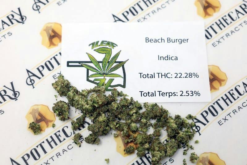 7 Leaf | Beach Burger | Smalls | 14g