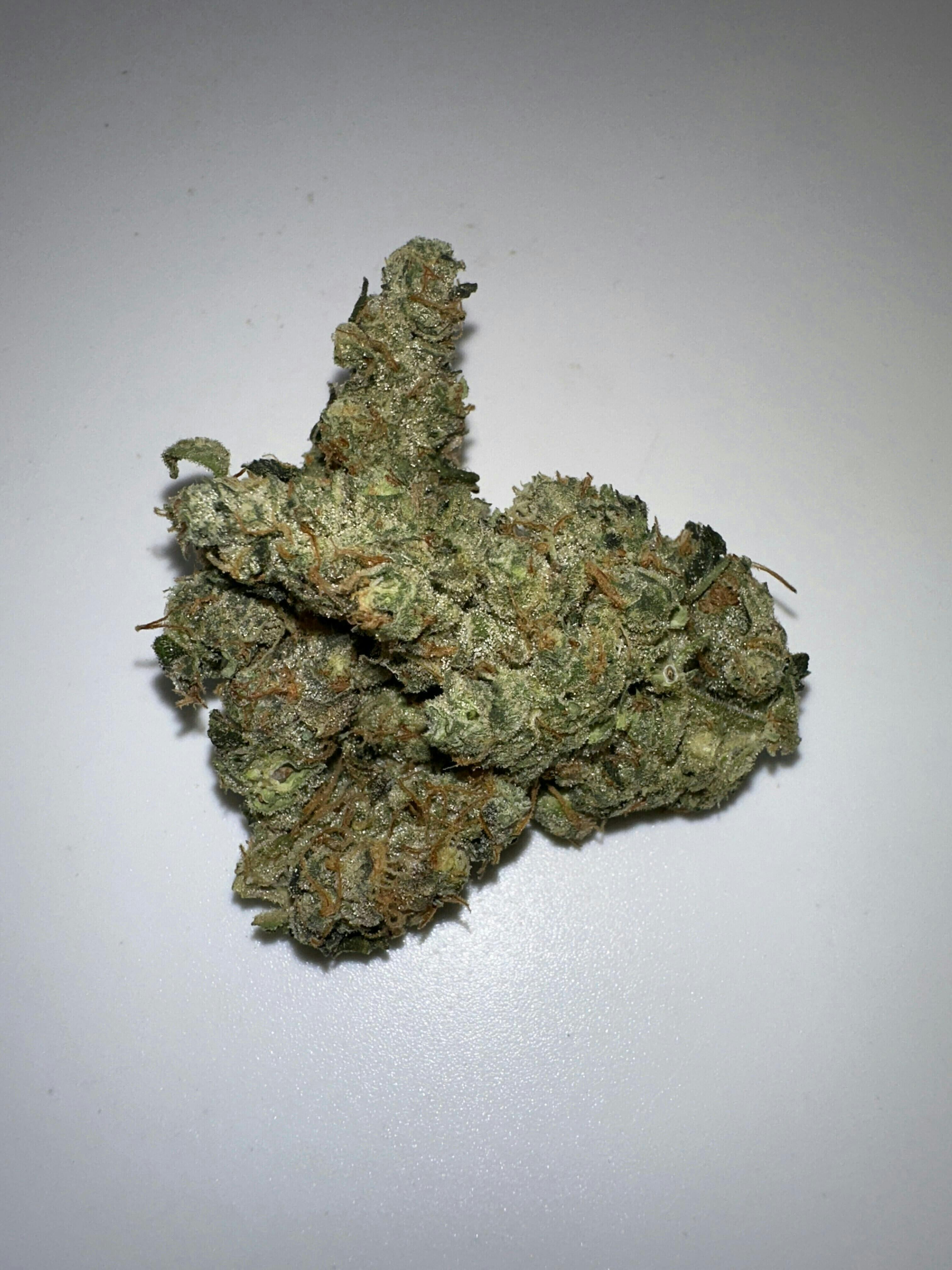 7 Leaf | GMO | Flower | 3.5g