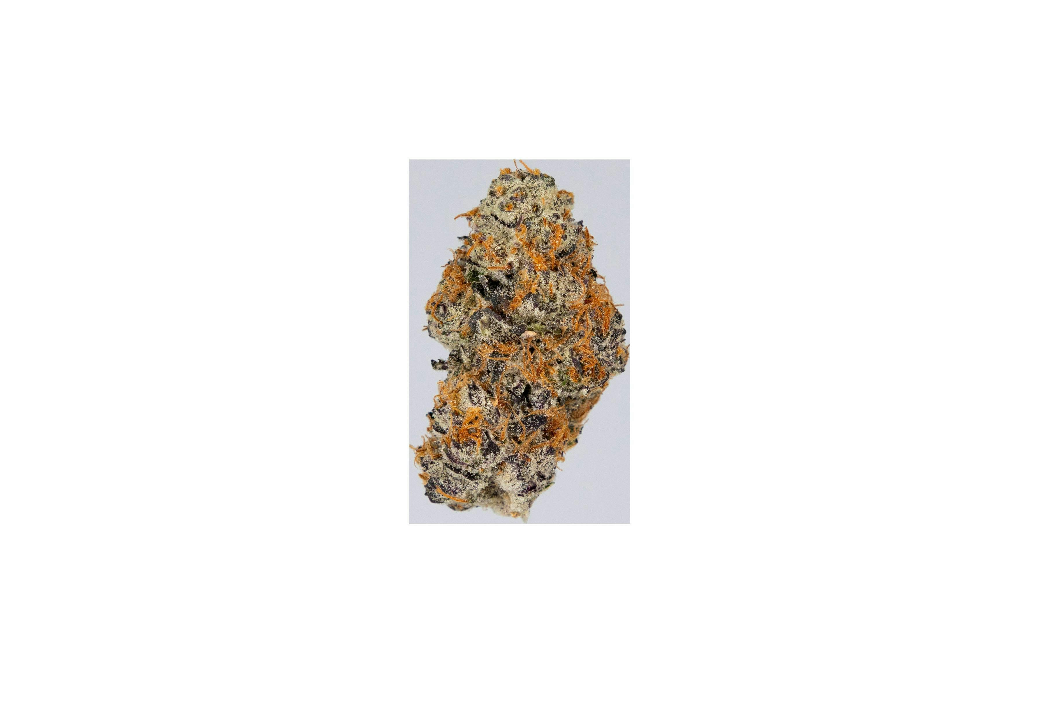 High Minded | Scotti's Cake | Ground | 28g