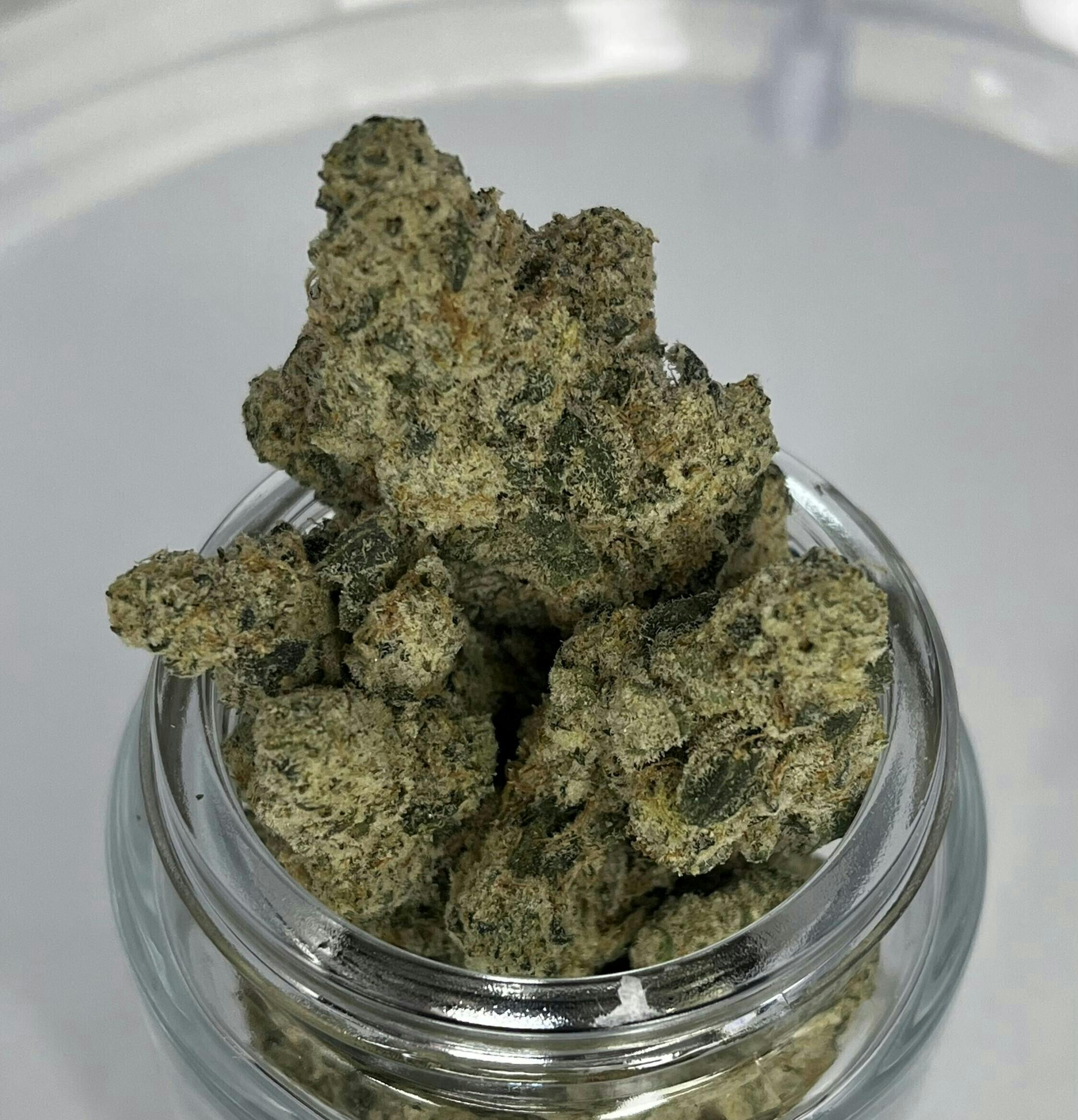 Garcia Hand Picked | Alien Mints | Flower | 1g