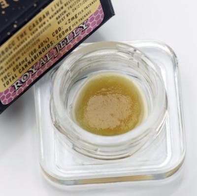 Fire King | Morocc The Casbah | Live Rosin | Jam | 1g
