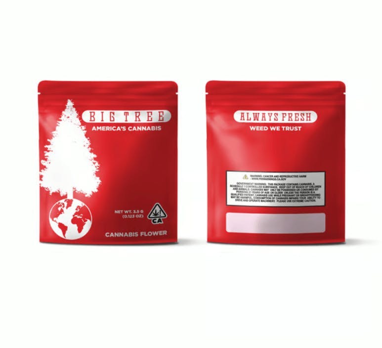Big Tree — Dirty Mimosa