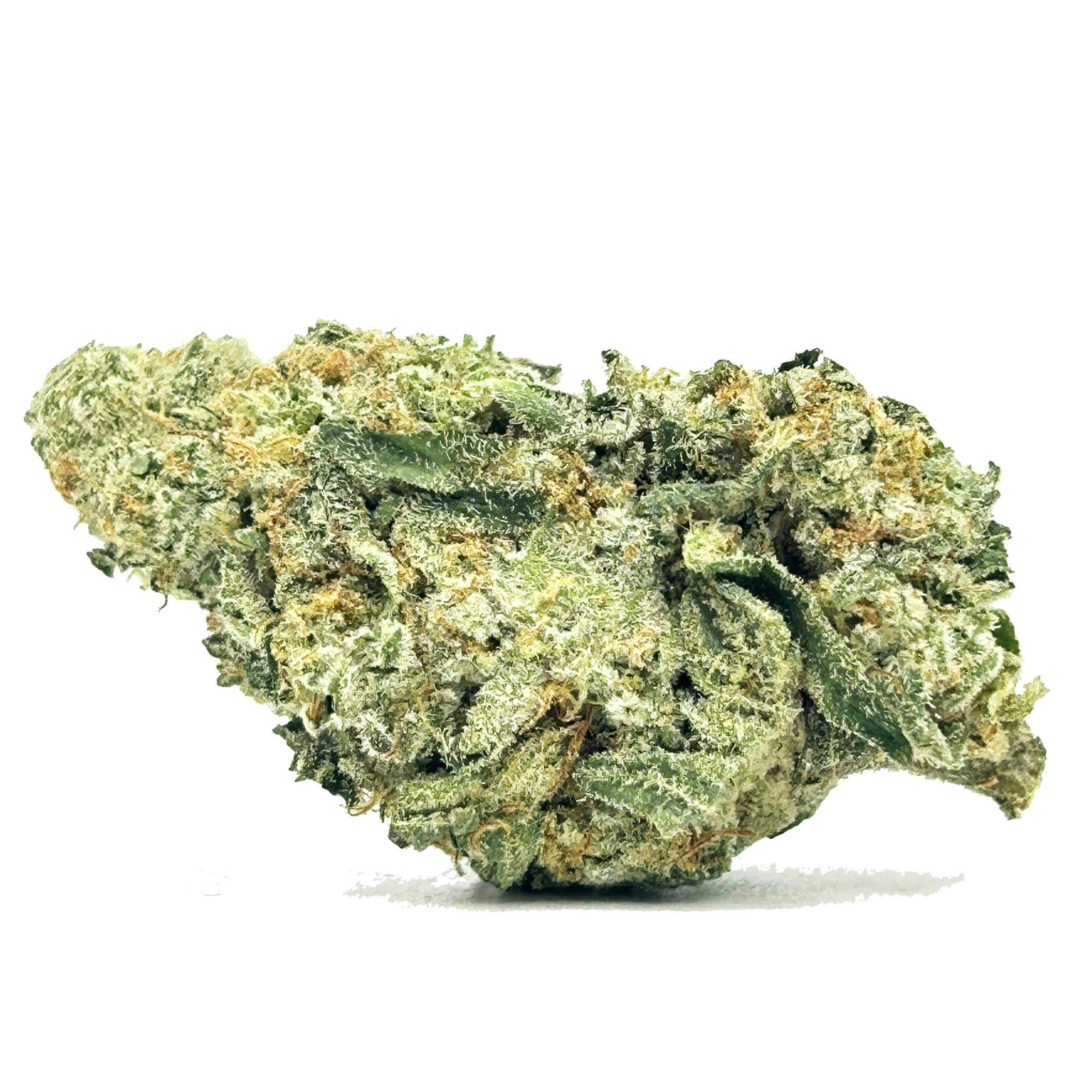 Glorious Cannabis Company | Hot Lanta | Big Buds |
