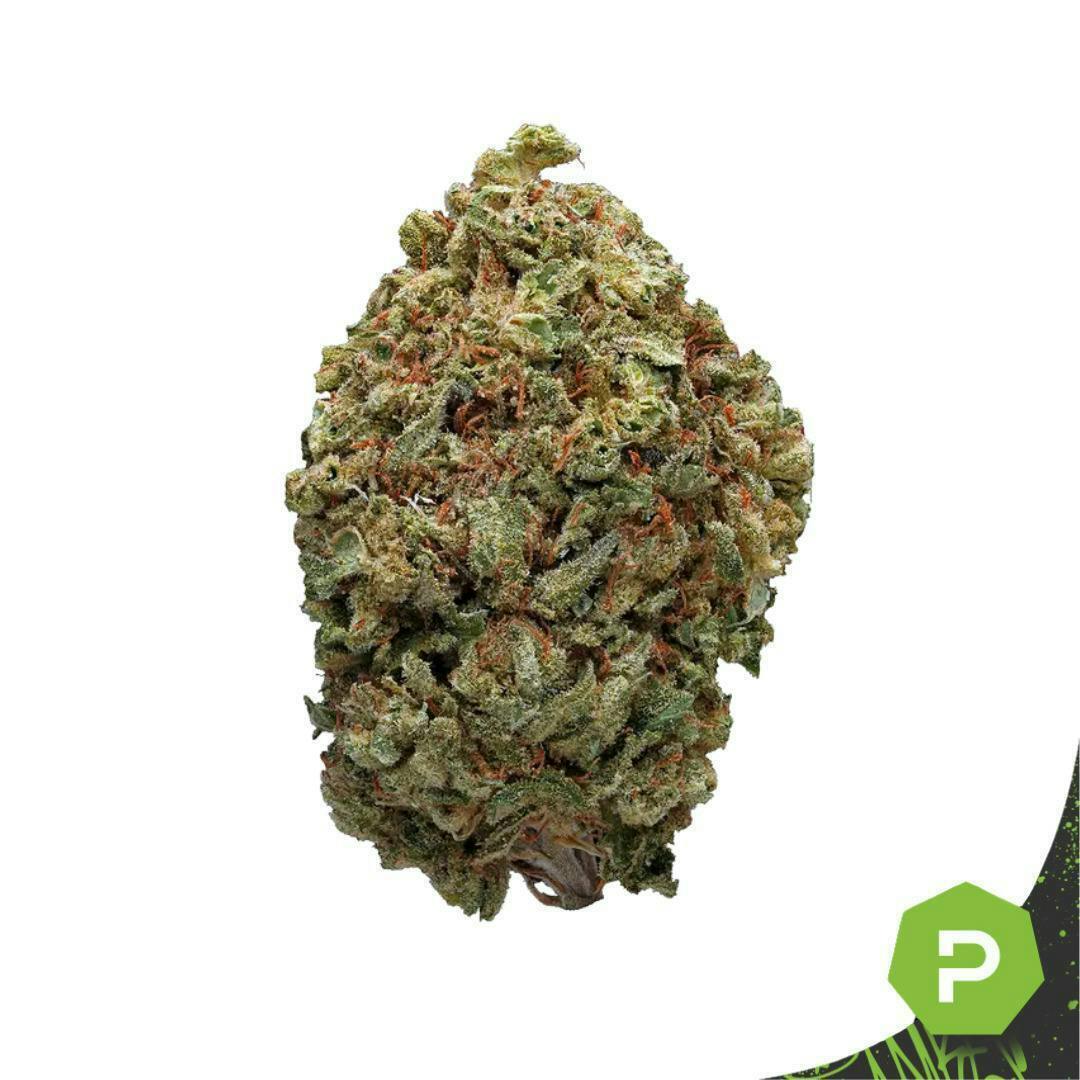 Breakfast Of Champions | Big Buds | 1g
