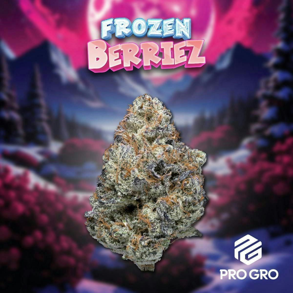 Pro Gro | Frozen Berries | Big Buds by Pro Gro