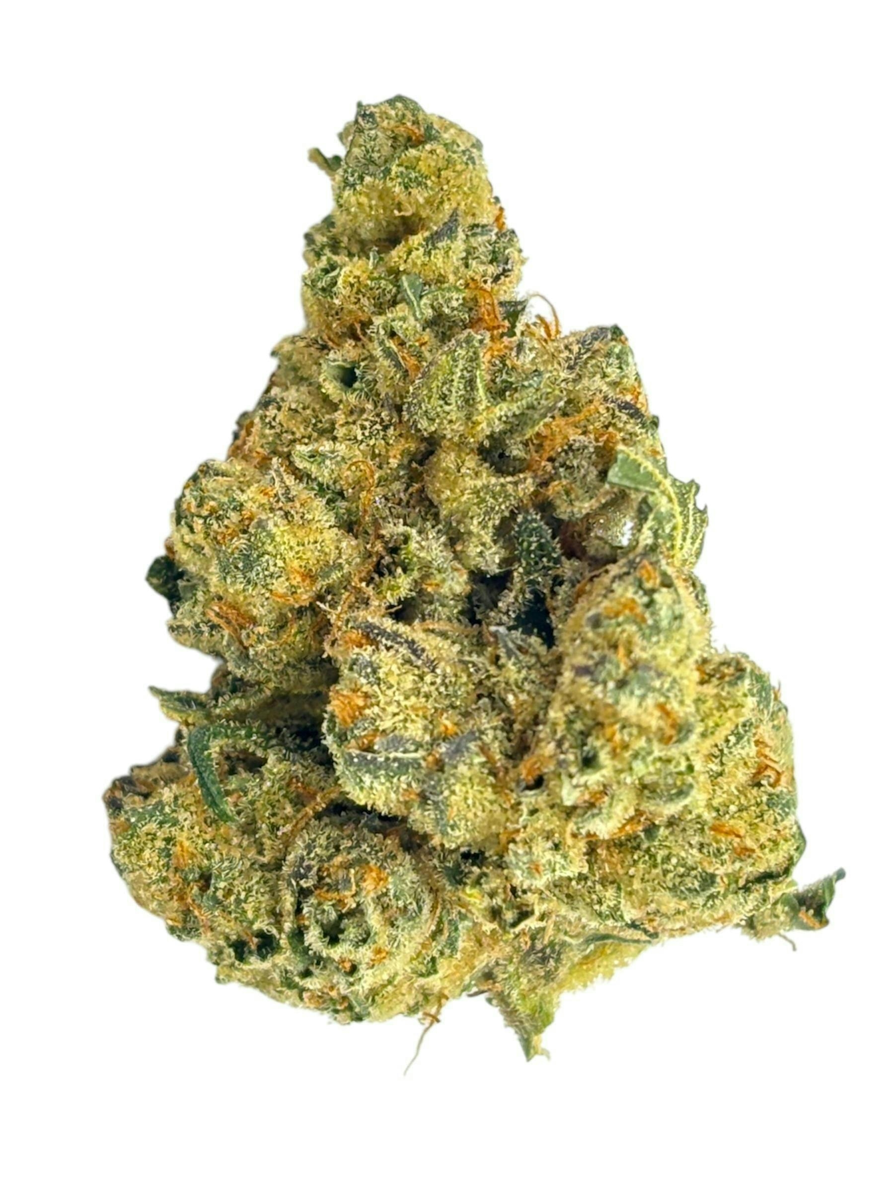 Glorious Cannabis Company | Black Ice | Big Buds |