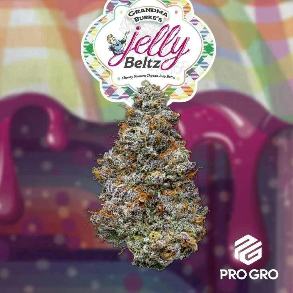 Pro Gro | Jelly Beltz | Big Buds