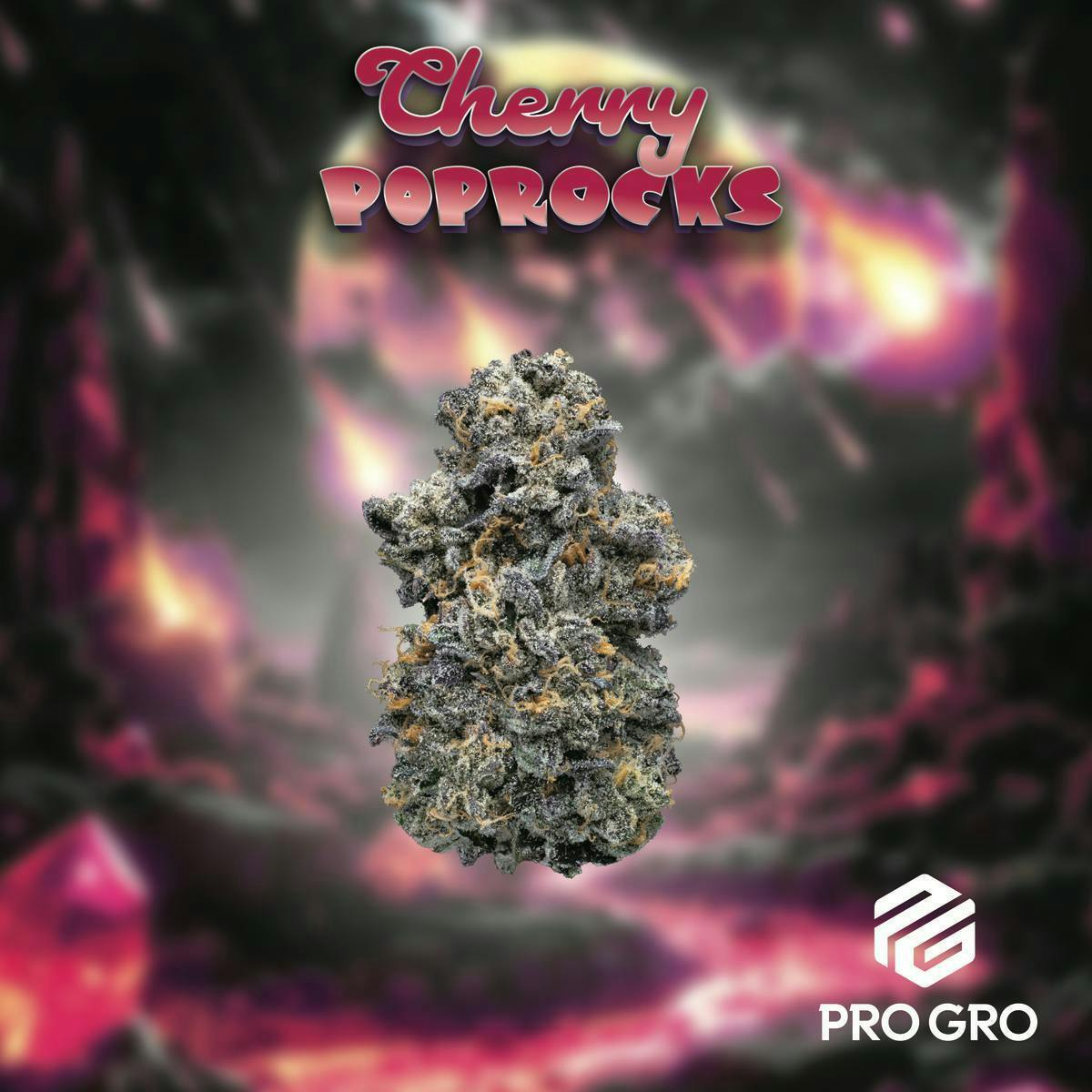 Pro Gro | Cherry Pop Rocks | Big Buds by Pro Gro
