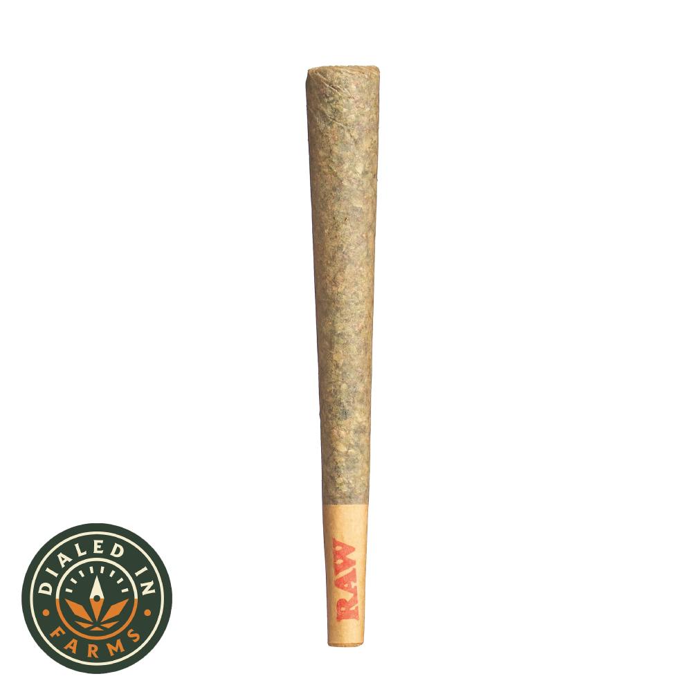 GMO Rootbeer | Joints | 1g