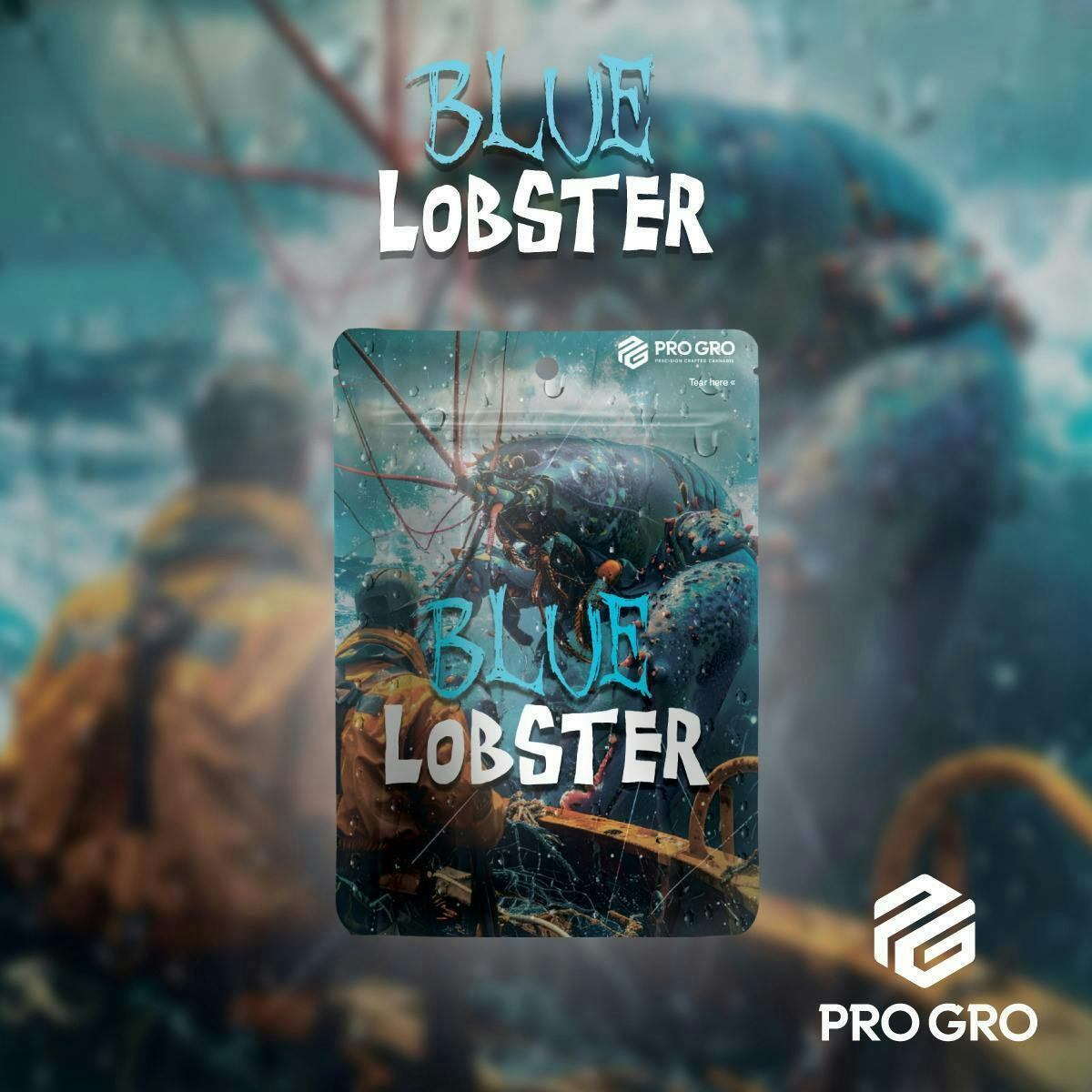 Pro Gro | Blue Lobster | Big Buds | 3.5g by Pro Gro