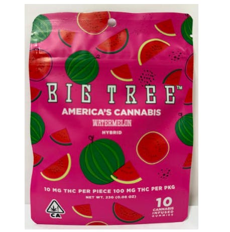 Big Tree — Watermelon