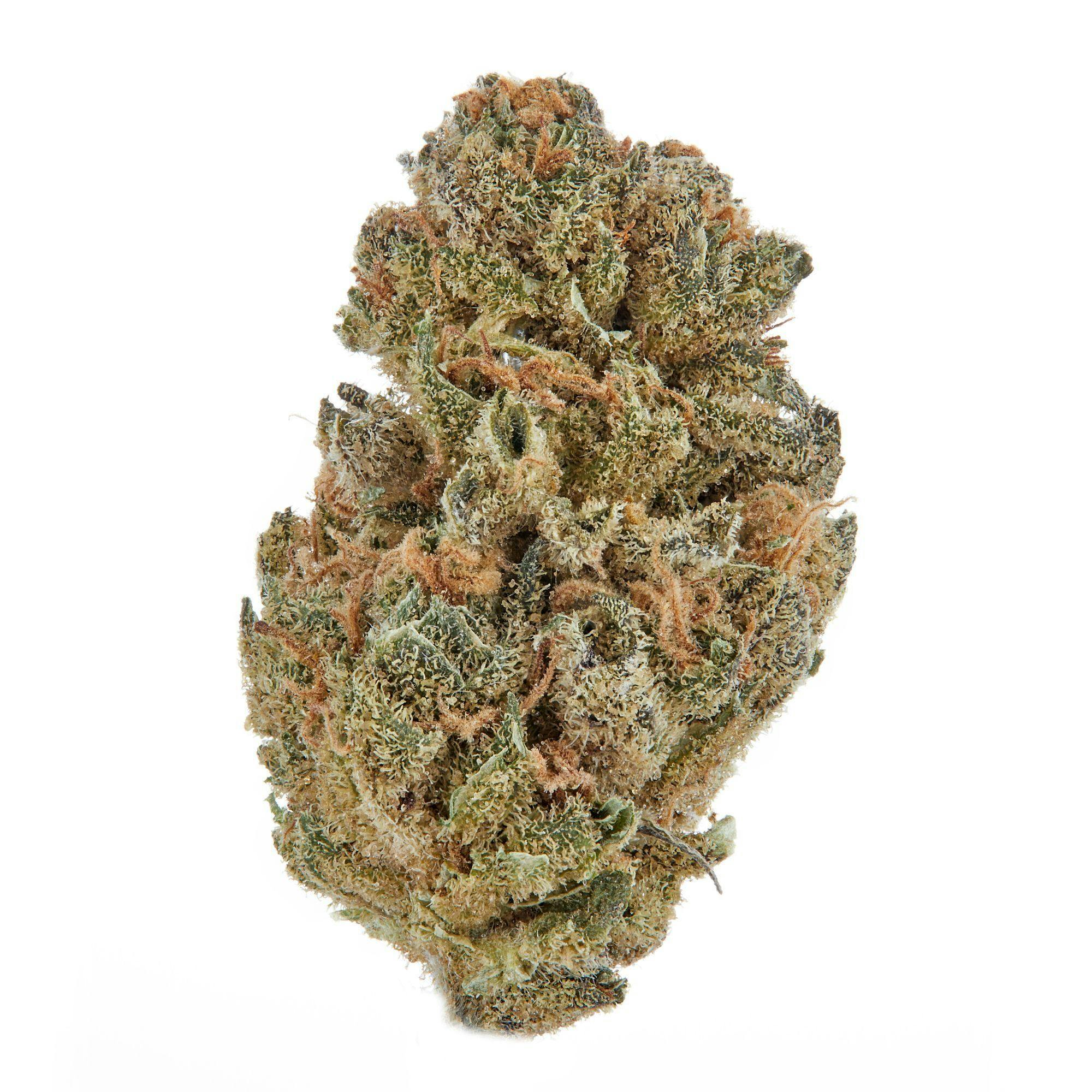 Rare Dankness | Apricot Scone | Popcorn | 28g