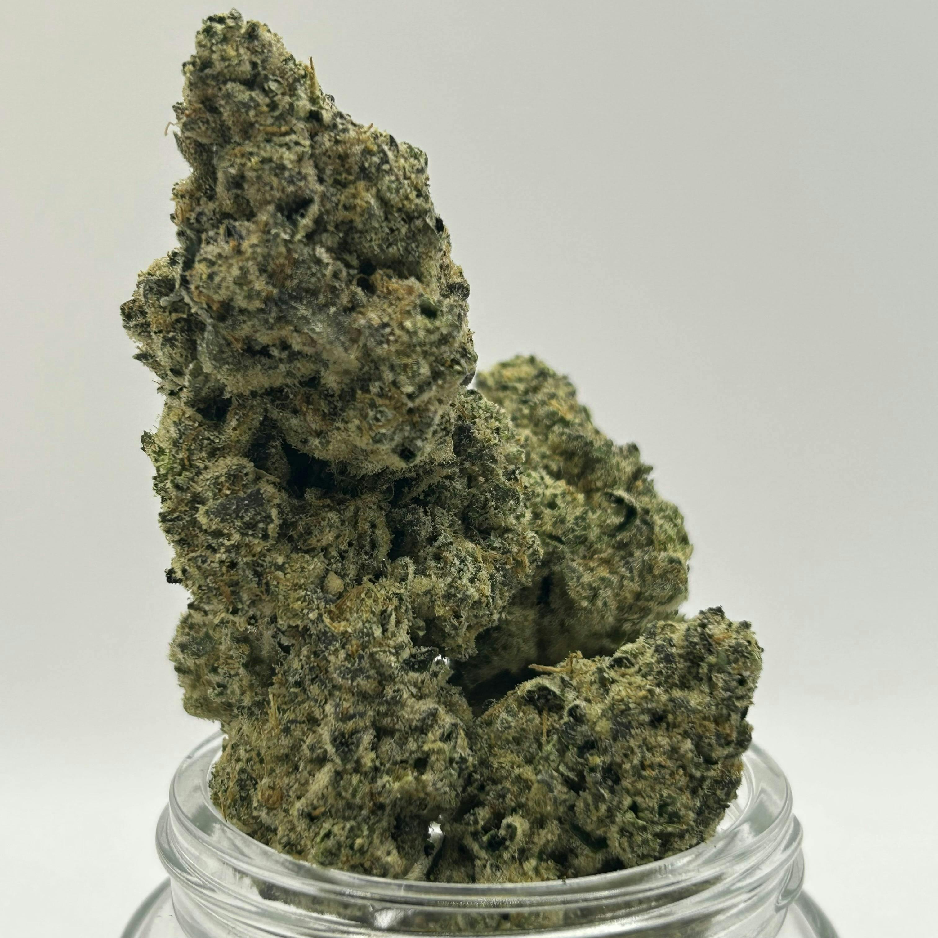 Garcia Hand Picked | L.A. Baker | Big Buds