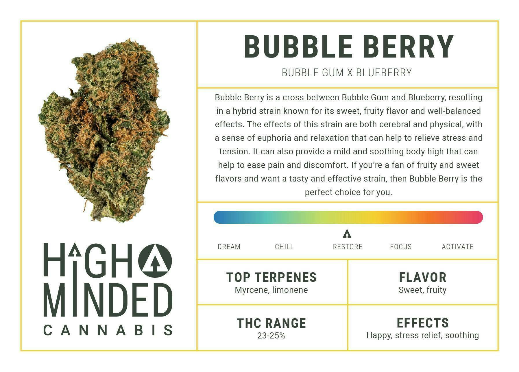 High Minded | Bubble Berry | Shake