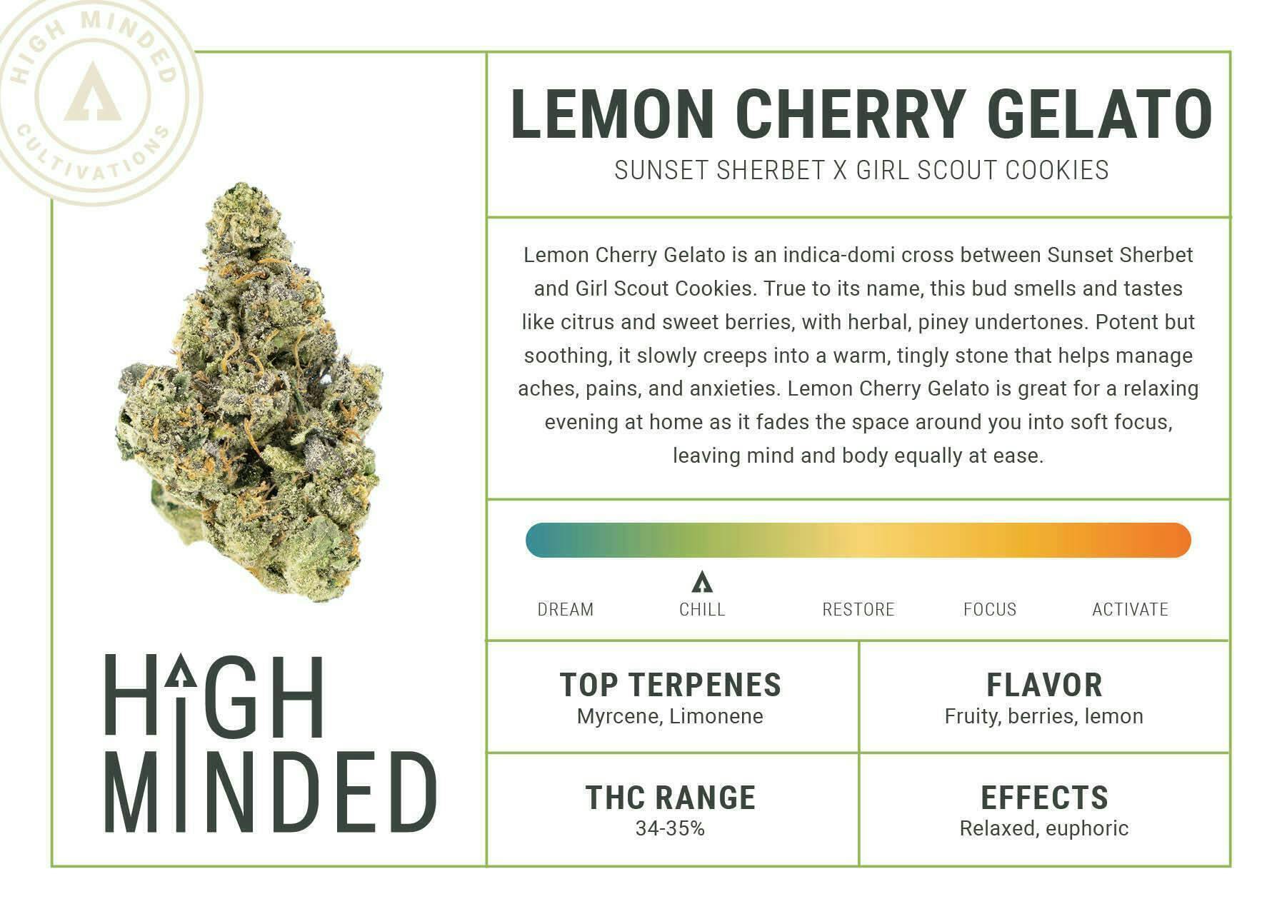 High Minded | Pineapple Burst | Solvent | Badder | 3.5g