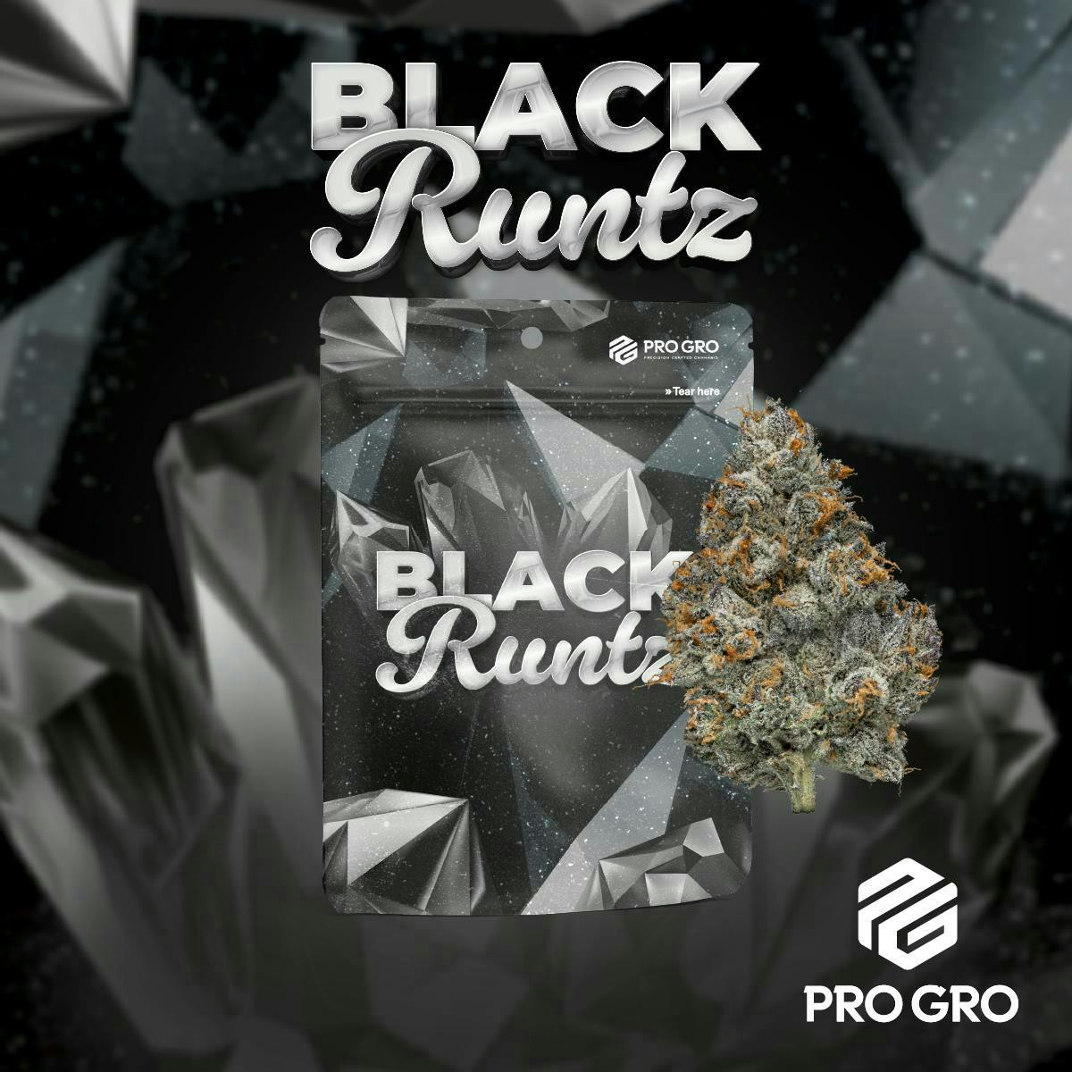 Pro Gro | Black Runtz | Big Buds by Pro Gro